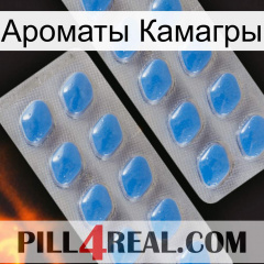 Ароматы Камагры 23